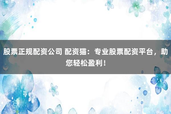 股票正规配资公司 配资猫：专业股票配资平台，助您轻松盈利！