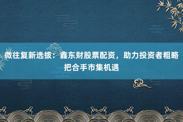 微往复新选拔：鑫东财股票配资，助力投资者粗略把合手市集机遇