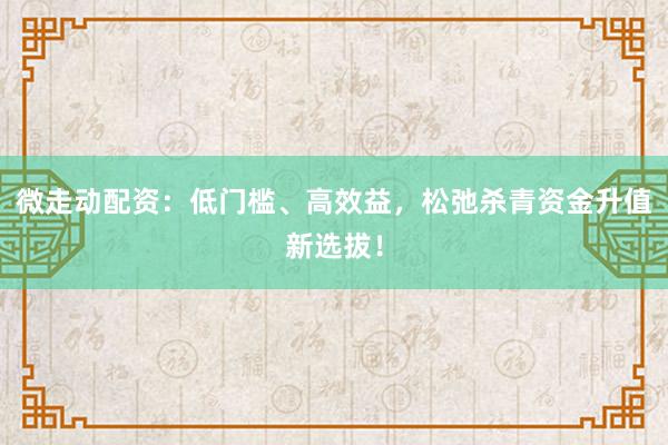 微走动配资：低门槛、高效益，松弛杀青资金升值新选拔！
