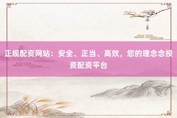 正规配资网站：安全、正当、高效，您的理念念投资配资平台